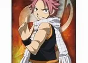 Quiz Personnages de Fairy Tail