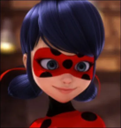 Qui est Ladybug ?