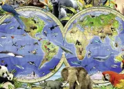 Quiz Les animaux  travers le monde