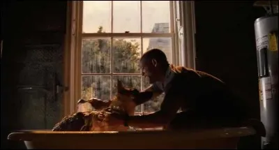 Dans le bain, c'est le chien de Will Smith, lequel peut prendre son temps, car il se retrouve bien seul dans la ville... Quel est ce film ?