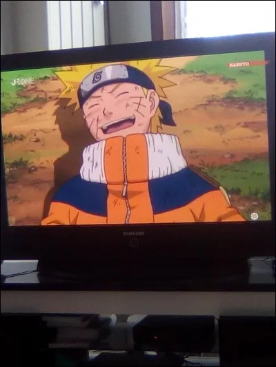 Quel est le nom de Naruto ?