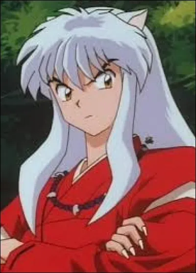 Qui est Inuyasha ?