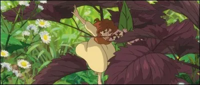 Quel "habitant" de la maison est en train de chasser Arrietty lorsque Shō arrive dans la maison pour la toute première fois ?