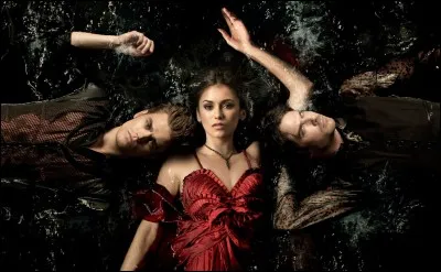 Que veut dire "The Vampire Diaries" ?