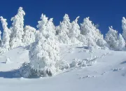 Quiz Omiakon, le village le plus froid du monde