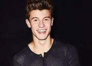 Quiz Shawn Mendes