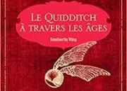 Quiz Connaissances en Quidditch