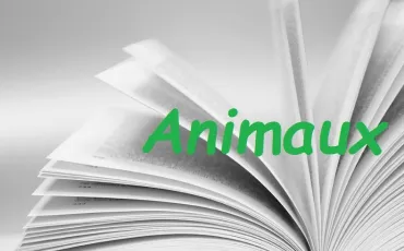 Quiz Animaux