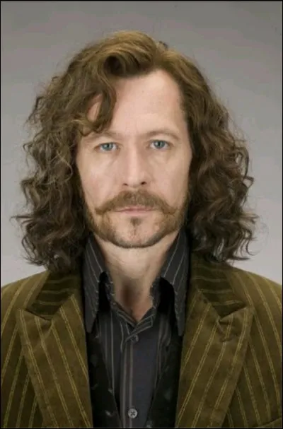 Qui est Sirius Black ?