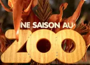 Test Qui es-tu dans ''Une saison au zoo'' ?