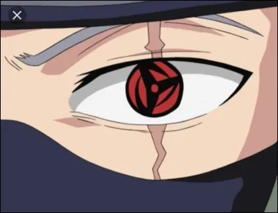 Comment s'appelle le sharingan de Kakashi ?