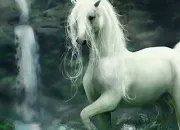 Test Quelle licorne es-tu ?