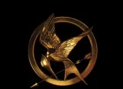 Test De quel district de ''Hunger Games'' viens-tu ?