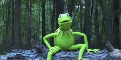 Quel est le nom de cette célèbre grenouille du Muppet Show ?