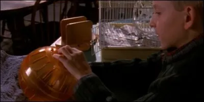 Comment se prénomme le hamster appartenant à la classe de Dewey dans la série "Malcolm" ?