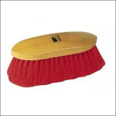 Comment appelle-t-on cette brosse ?