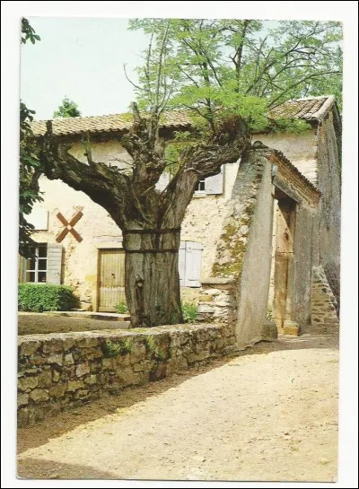 J'ai d'abord visité la maison de Claude Bernard, dans le Rhône, à...