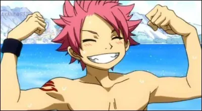 Natsu a la magie de...