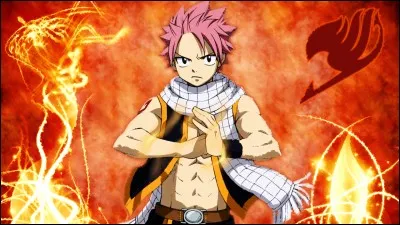 Quel est le surnom de Natsu ?