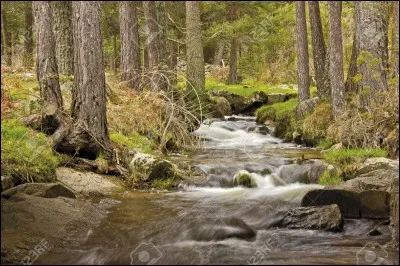 Quel mot arabe signifie cours d'eau ?