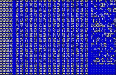 En quelle année a été crée le tout premier virus informatique qui est sur cette image ?