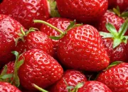 Quiz Ne ramenez pas votre fraise !