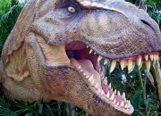 Quiz Sais-tu reconnatre un dinosaure ?