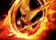 Quiz Connaissez-vous bien Hunger Games ?