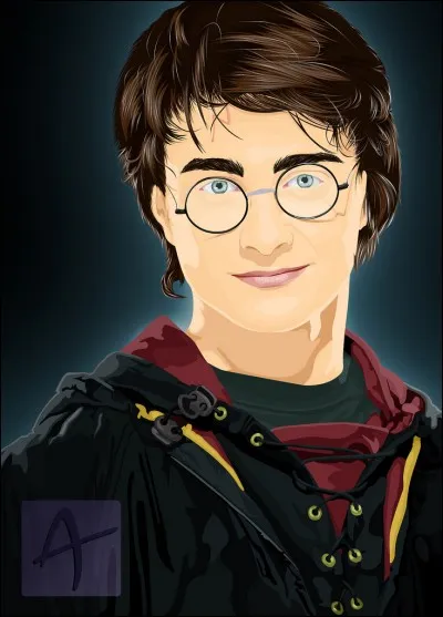 Qui joue Harry Potter ?