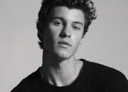 Quiz Shawn Mendes