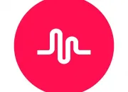 Quiz Connais-tu vraiment ''musical.ly'' ?