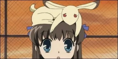 Dans "Fruits Basket", parmi les Sōma, qui est maudit par le signe du lapin ?