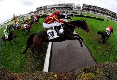 Quel est ton type de sport d'équitation ?