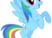 Quiz Connais-tu bien 'Rainbow Dash' ?