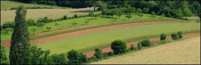 Un agrosystème est créé par l'Homme :