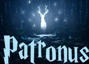 Quiz Les Patronus dans Harry Potter