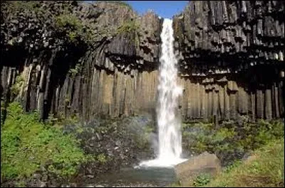 Située en Islande, dans le parc national de Skaftafell, les falaises de roches noires autour de la cascade forment un orgue. Elles portent le nom de Svartifoss, qui signifie en islandais ...