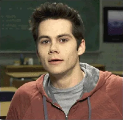 Comment s'appelle l'acteur qui joue Stiles Stilinski ?