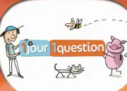 Quiz Vrai ou faux sur ''Un jour, une question''