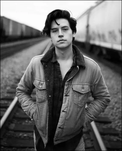 Quel est le nom de l'acteur qui joue Jughead ?