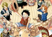 Quiz One Piece - Qui est-ce ?