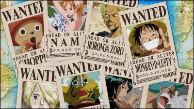 Quels sont les membres de l'équipage de Luffy dans la saison 1 ?