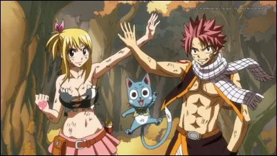 Natsu et Lucy seront-ils en couple ?