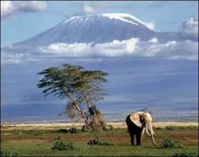 Quel est le plus haut sommet d'Afrique ?