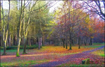 Où vivent les renards ?