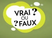 Quiz Vrai ou faux (4)