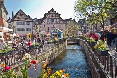 Quel est le code postal de Colmar ?