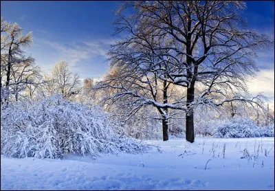 Sur cette photo peut-on voir la saison d'hiver ?