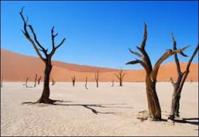 À travers le monde, le pourcentage de terres désertiques est estimé à ...