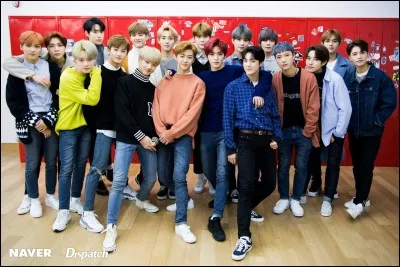 Quelles personnes ne font pas partie des NCT ?